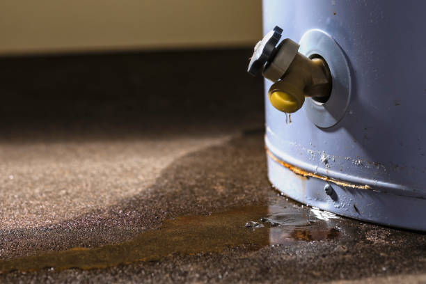 Best Basement water damage restoration  in Calcutta, OH