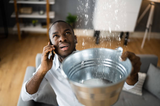 Best Water damage restoration near me  in Calcutta, OH