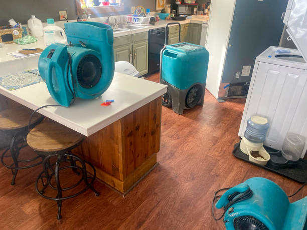 Best Commercial water damage restoration  in Calcutta, OH