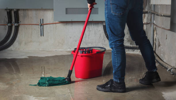 Best Flood restoration services  in Calcutta, OH