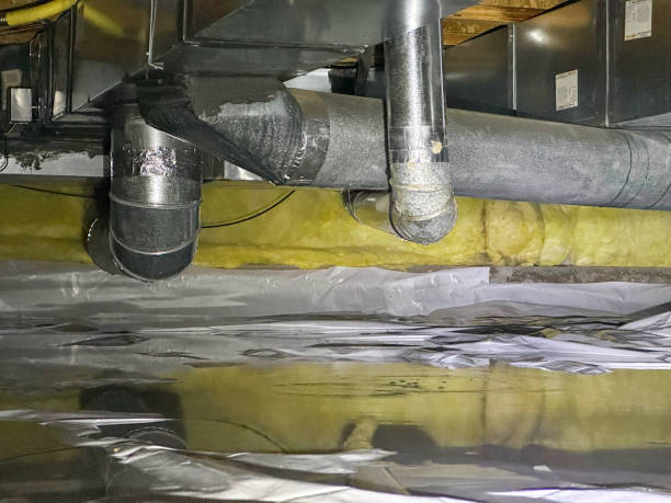 Best Professional water damage repair  in Calcutta, OH