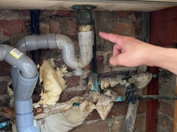 Best Water damage cleanup near me  in Calcutta, OH